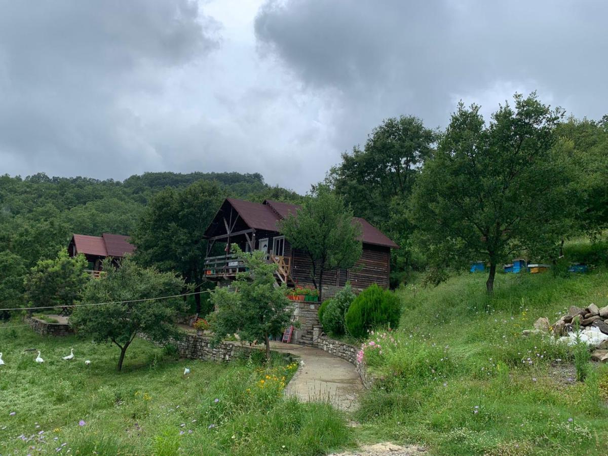 Origjina Farm Villa Përmet Buitenkant foto