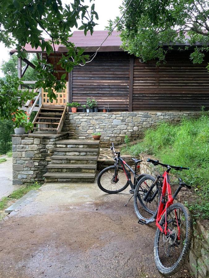 Origjina Farm Villa Përmet Buitenkant foto
